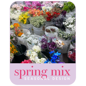 Designer\'s Choice Spring Arrangement
